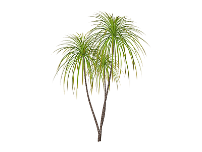 多干丛生绿植模型