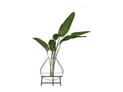 玻璃花瓶绿植组合