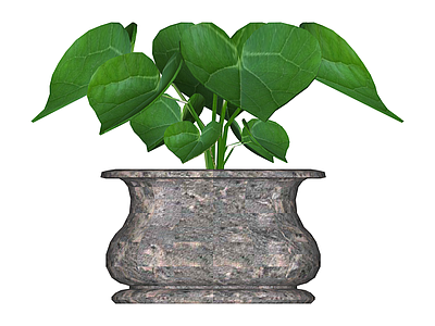 石纹花盆绿植组合