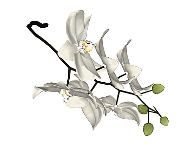 白色蝴蝶兰仿真花艺