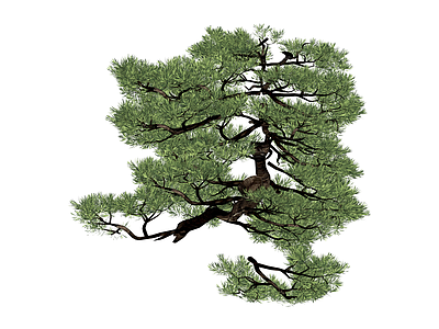 造型景观松树模型
