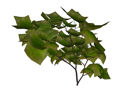 绿色阔叶植物模型