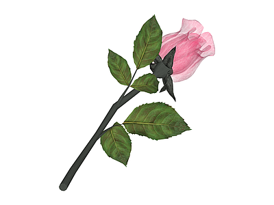 粉色半透明玫瑰花