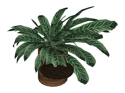 木纹方盆绿植盆栽