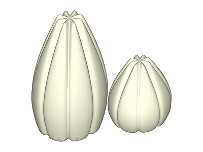 白色花瓣造型花瓶