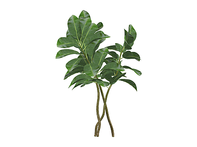 丛生绿植灌木模型
