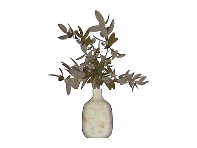 带叶植物插花瓶