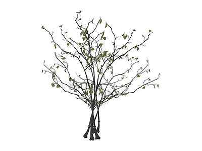 枯枝绿植模型