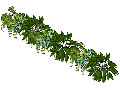 室内绿植组合景观