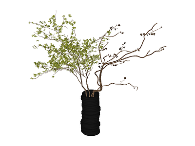 黑盆绿植组合盆栽