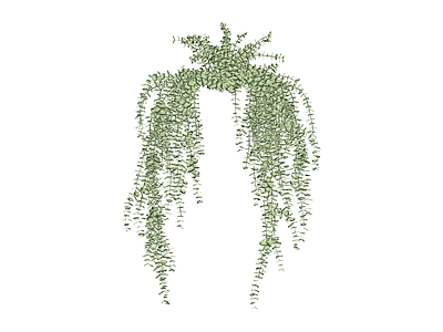垂吊绿植盆栽模型