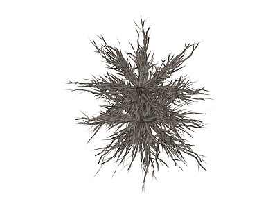 枯树/干枝植物模型