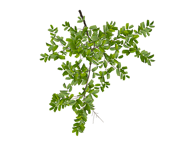 独立绿植小树模型