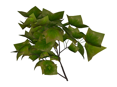 低模绿植枝叶模型