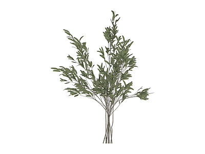 仿真橄榄枝植物