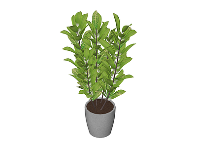 盆栽绿植模型