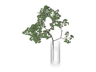 透明花瓶绿植组合