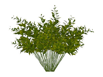 丛生灌木绿植模型
