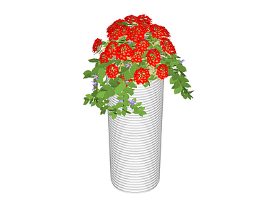 红紫花盆栽组合