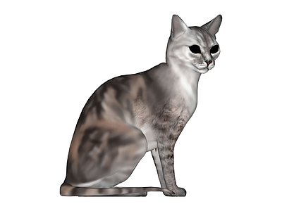 灰白虎斑猫坐姿模型