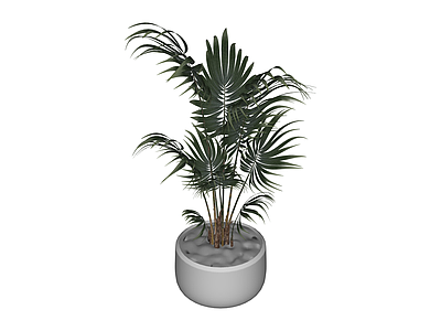 带盆绿植盆栽模型