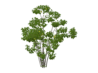 丛生灌木绿植模型
