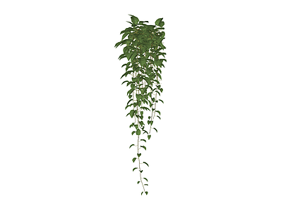 垂吊绿植盆栽模型