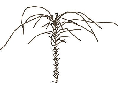 棕榈树植物模型
