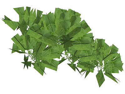 绿色阔叶植物模型