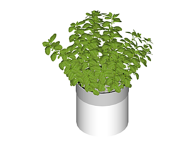 盆栽绿植模型