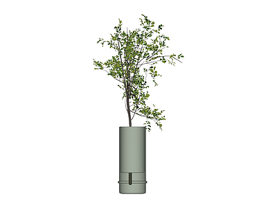 盆栽绿植组件