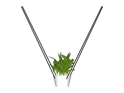 盆栽绿植带支架