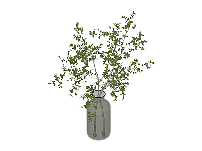 瓶插绿植盆栽