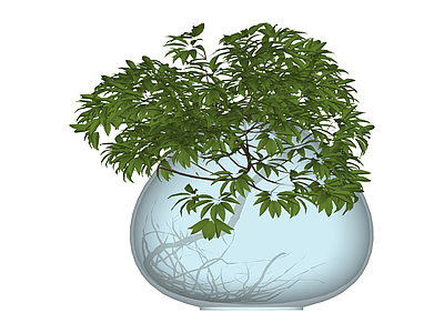 玻璃圆盆绿植组合