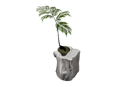 盆栽绿植景观小品