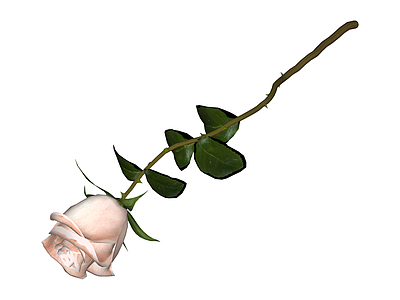 单支玫瑰花模型