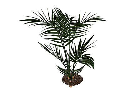 仿真散尾葵绿植盆栽