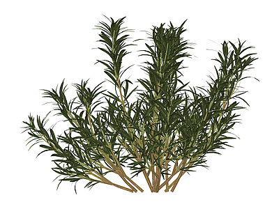 丛生灌木绿植模型