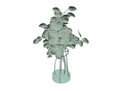 玻璃花瓶绿植组合