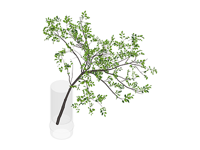 带透明花瓶绿植