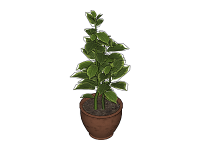 盆栽绿植组合