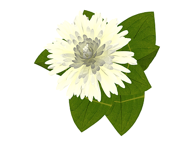 白色花艺模型