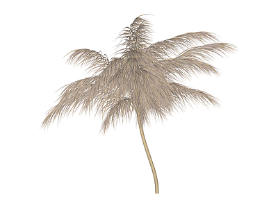 芦苇植物组件
