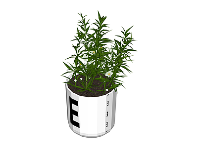 带盆绿植盆栽模型