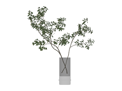 带花瓶绿植盆栽