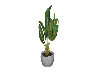灰色花盆绿植盆栽