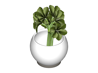 白盆绿植盆栽