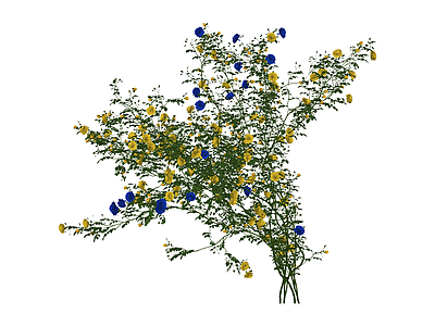 蓝黄花艺组合