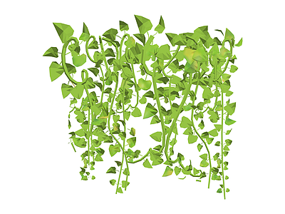 悬挂绿植藤蔓组合
