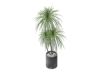 盆栽绿植组合
